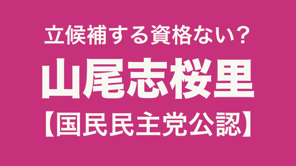 国民民主党 山尾志桜里 W不倫